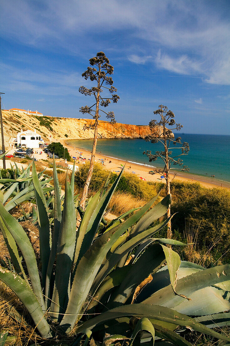 Portugal Algarve Atlantikc coast  beach Praia de Mareta Sagres