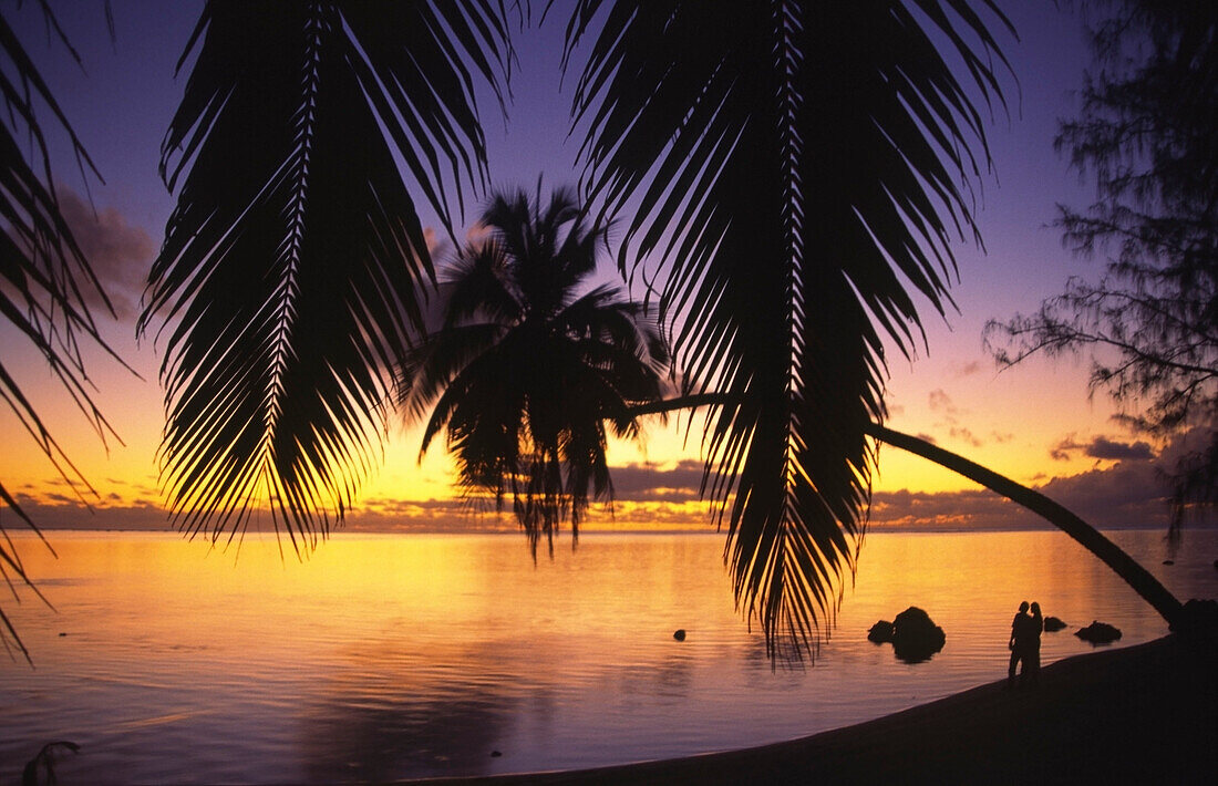 Suedsee, Cook Islands, Aituaki, Sonnenuntergang Palmen, Paar