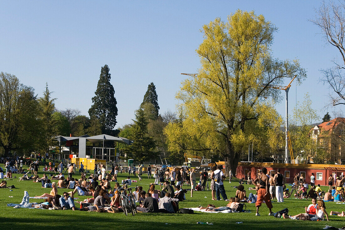 Zürich Blatterwiese im Sommer