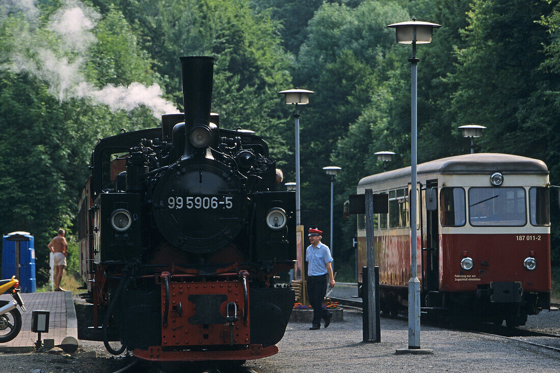 steam hauled narrow gauge railway line, Harzer Schmalspurbahn, Harz Mountains, Saxony Anhalt, Germany