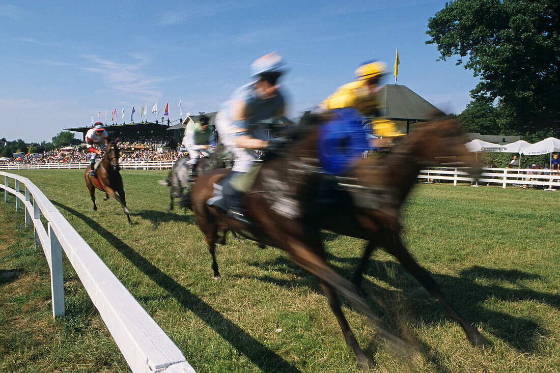 Gallop Race Week, Bad Harzburg, Harz Mountains, Lower Saxony, northern Germany