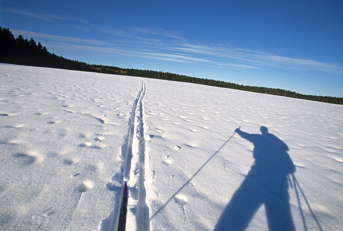 Schatten von einem Skilangläufer neben einer Loipe, Tanne, Sachsen-Anhalt, Deutschland