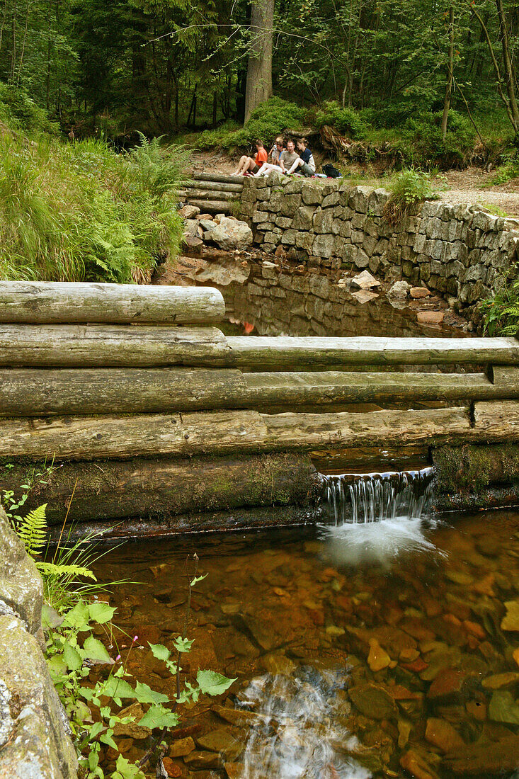 Harzwanderung, Bergbaueinrichtung, Harz, Niedersachsen