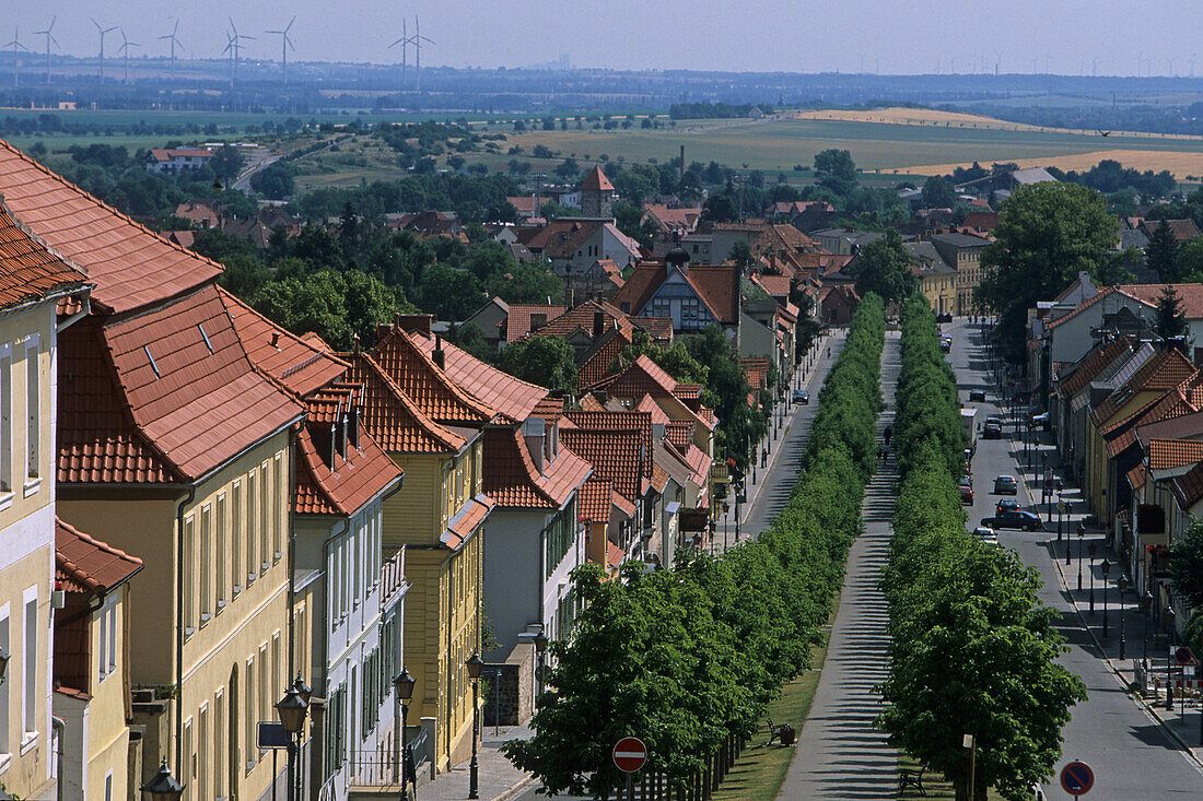 Schloss Ballenstedt, Allee, Sachsen-Anhalt, Harz