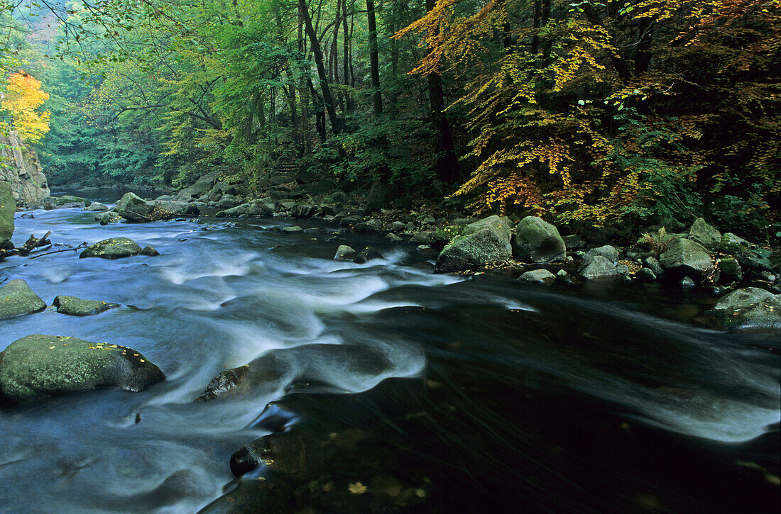 Bode river valley, Thale, Saxony Anhalt, Germany