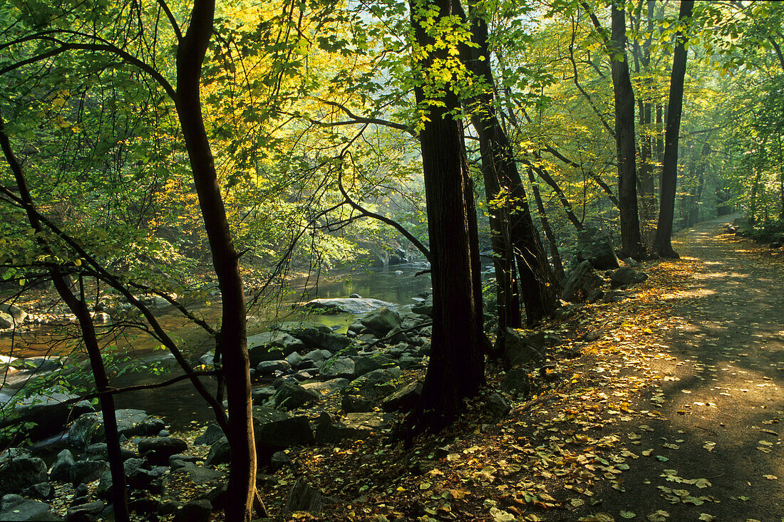 walking track, Bodetal, Harz Mountains, Saxony Anhalt, Germany