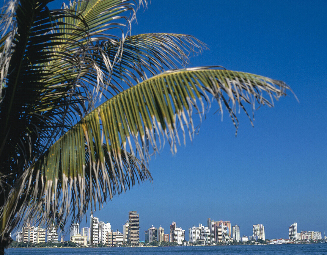 Bocagrande. Cartagena de Indias. Kolumbien