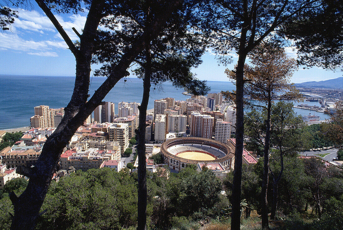 Málaga. Spain