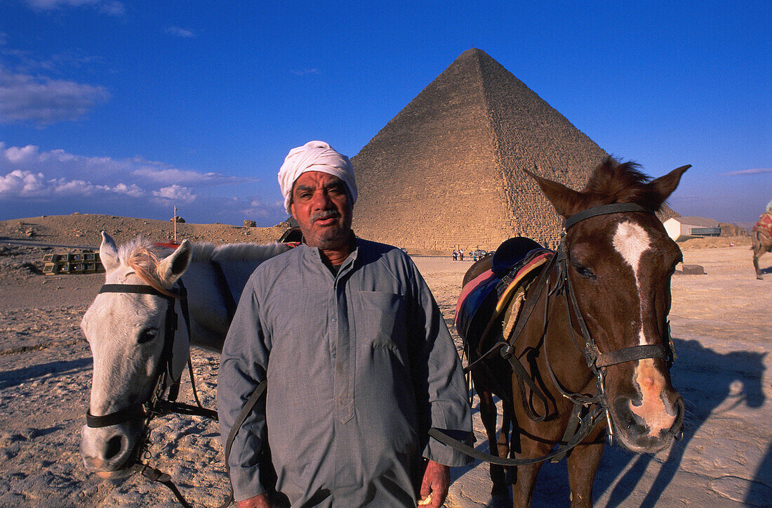 Horse rental, Cheops pyramid at rear. Giza. Cairo. Egypt