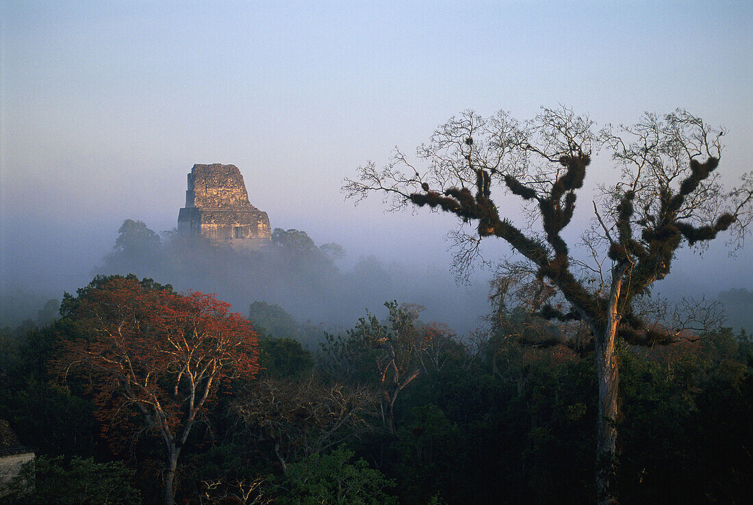 Mayan ruins of Tikal. Guatemala