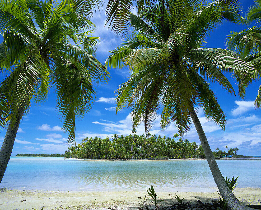 Rangiroa. Tuamotu Islands. French Polynesia