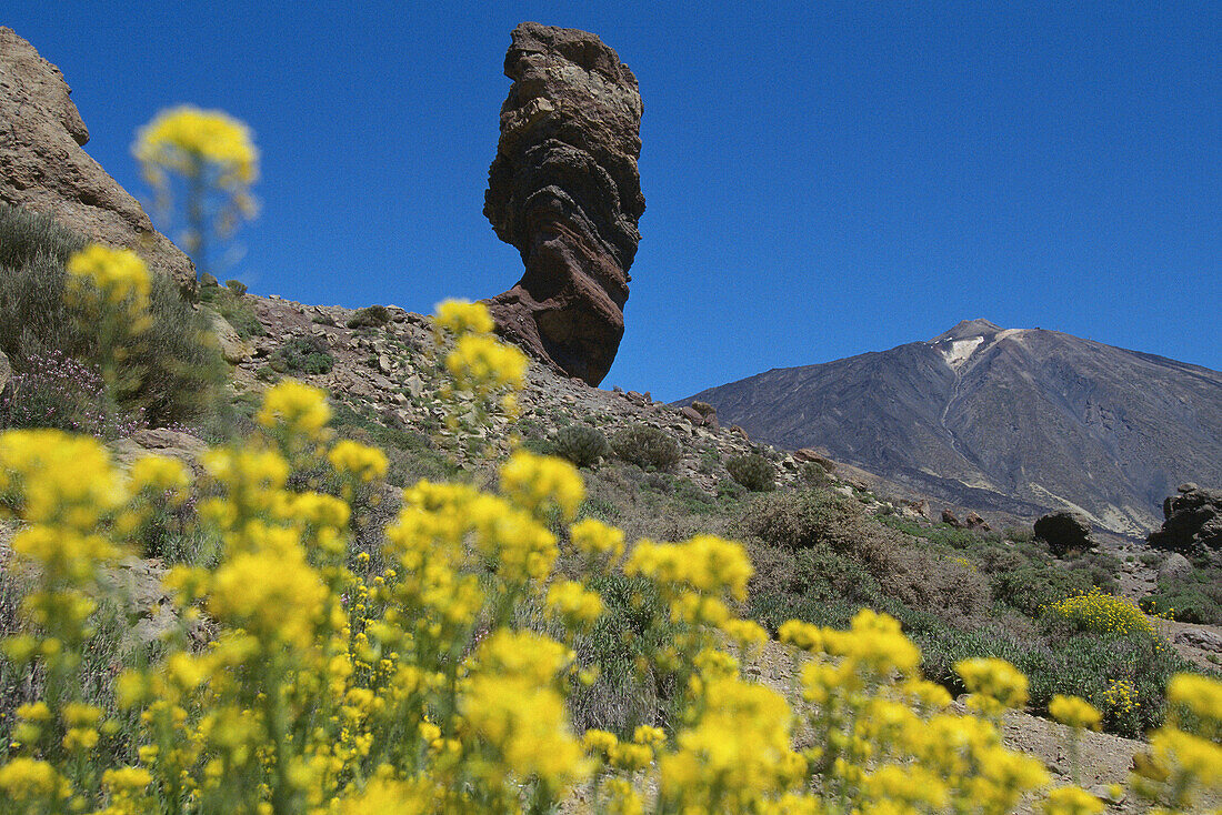 Vulkan Teide. Nationalpark Cañadas del Teide. Teneriffa. Kanarische Inseln. Spanien