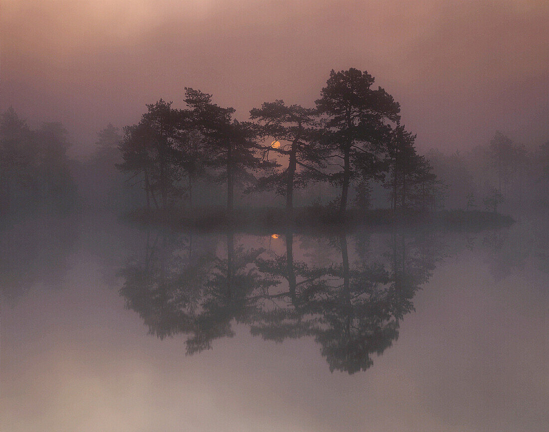  Aussen, Baum, Bäume, Draussen, Farbe, Feuchtigkeit, Horizontal, Kalt, Kälte, Landschaft, Landschaften, Natur, Naturerscheinung, Nebel, Ökosystem, Ökosysteme, Pflanze, Pflanzen, Reflektion, Reflektionen, Ruhe, See, Seen, Spiegelbild, Spiegelbilder, Spiege