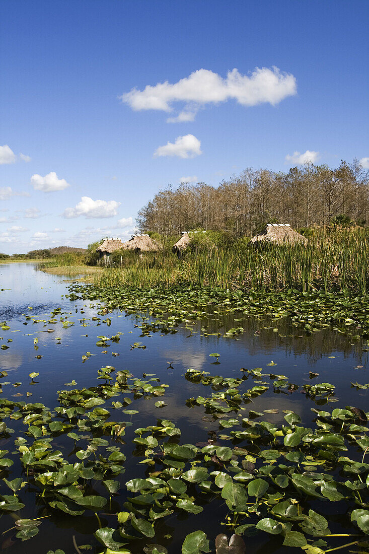 Billie Swamp Safari. Everglades Cottages. Big Cypress Seminole Reservation. Florida. USA.