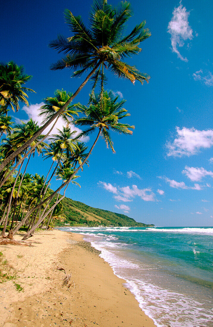 Beach in Loiza. Puerto Rico