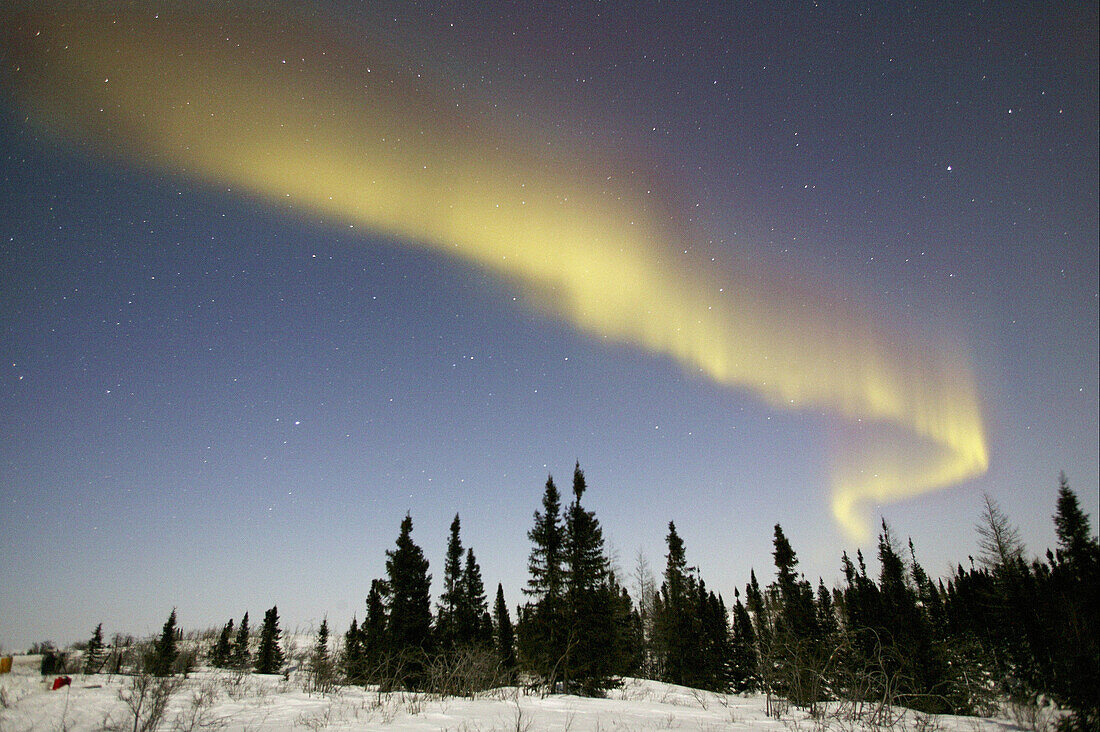 Northern lights