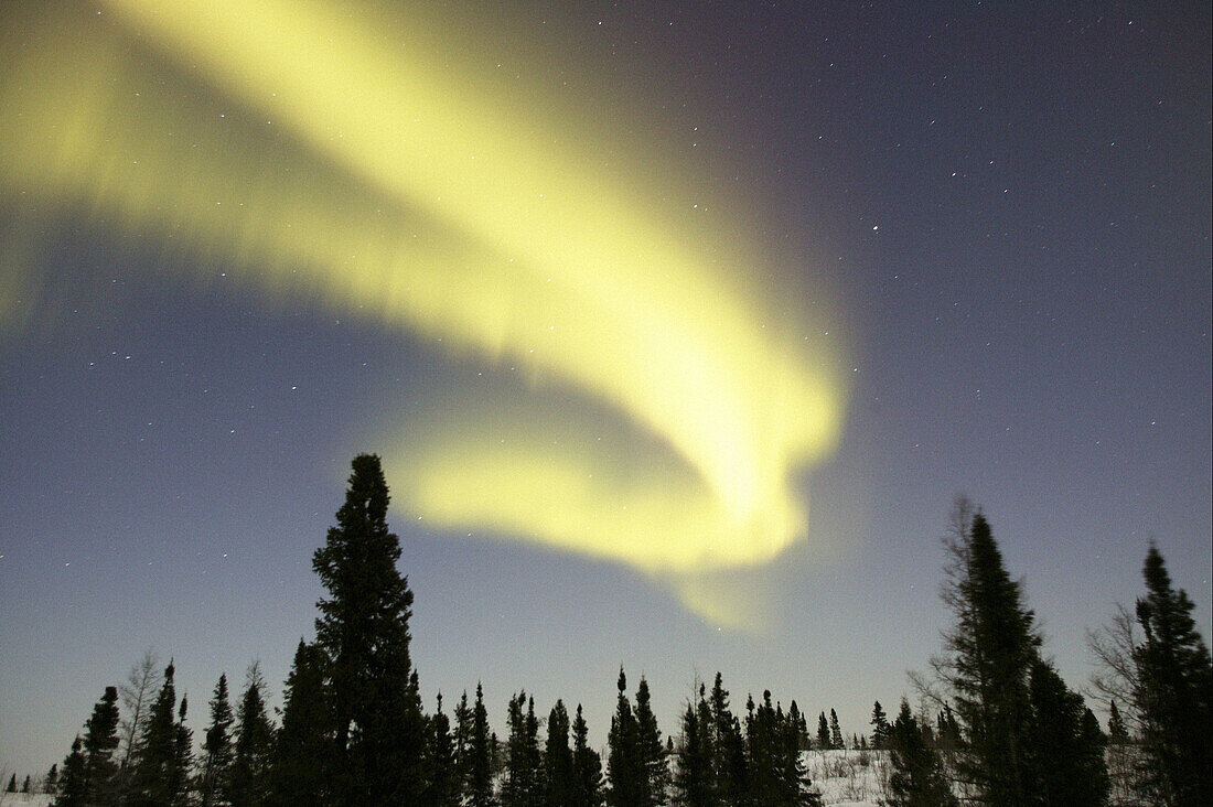 Northern lights