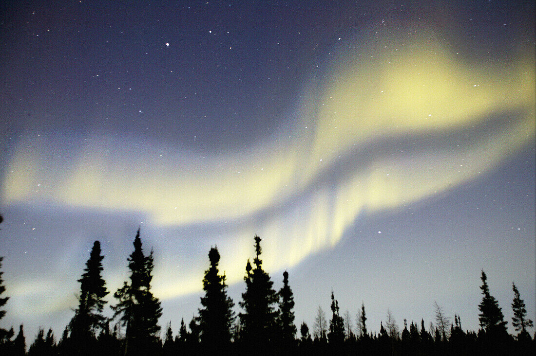 Northern lights