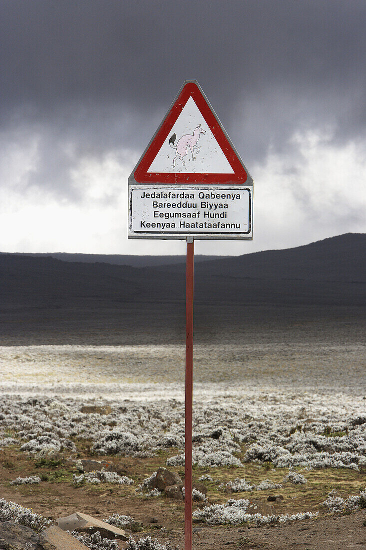 Ethiopian Wolf (Canis simensis) warning sign in Bale Mountains. Ethiopia