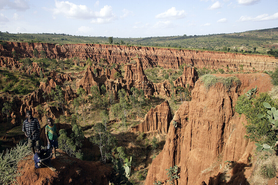 Red marl erosion. Konso country. Ethiopia.