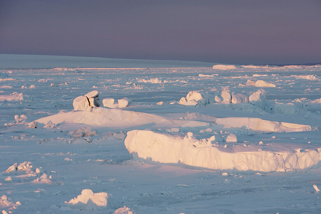 Pack Ice. Antarctica