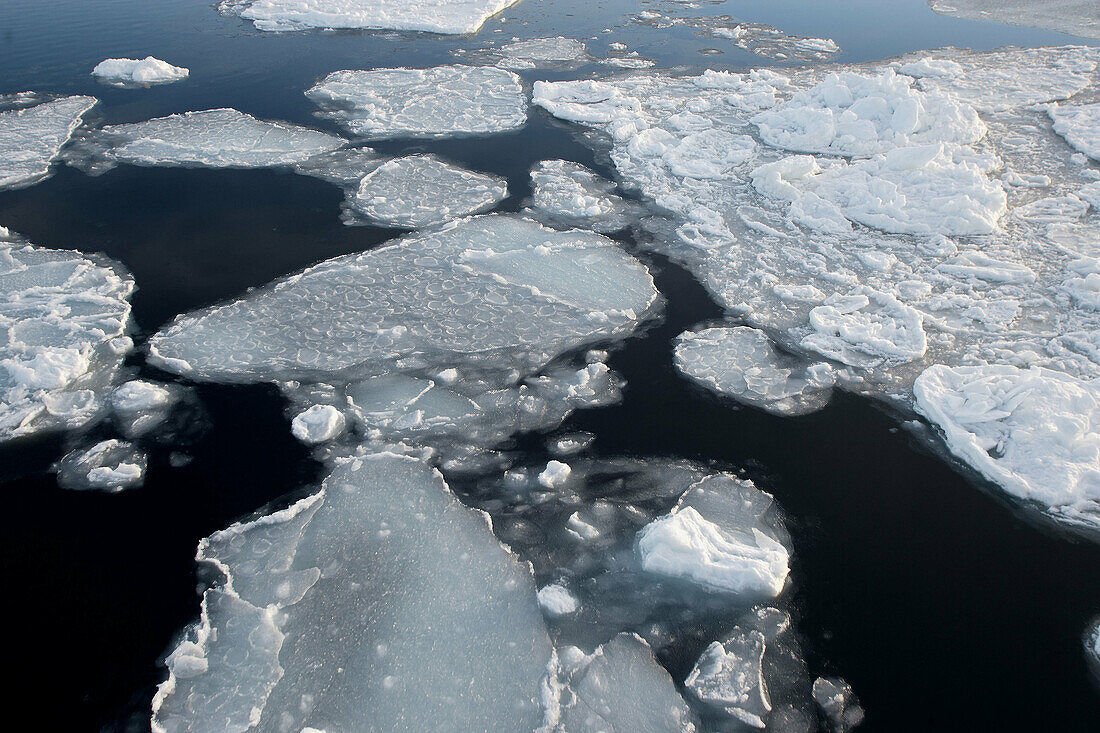 Pack Ice in Antarctica