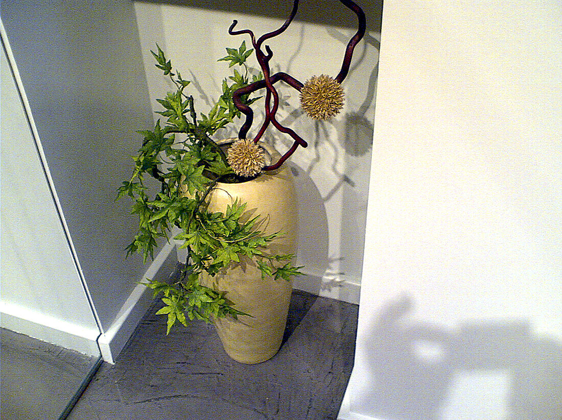  Dekoration, Design, Farbe, Pflanze, Pflanzen, Vase, Vasen, C47-509080, agefotostock 