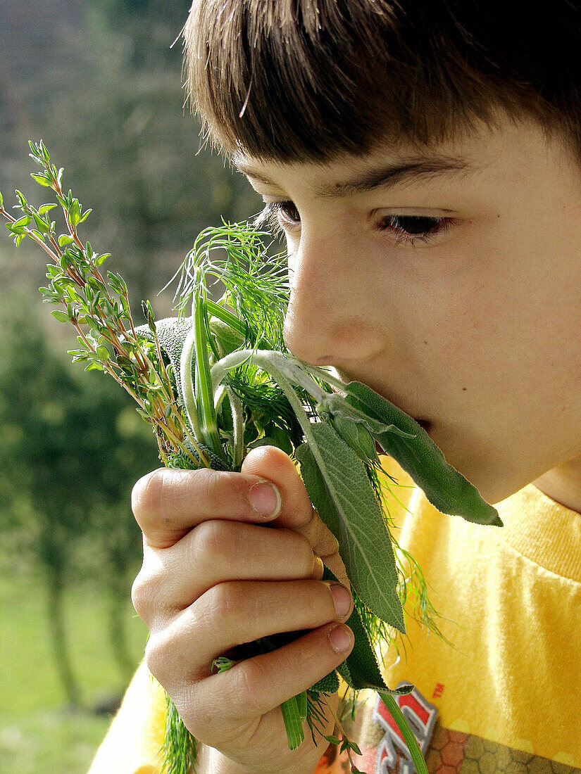 Boy smelling herbs
