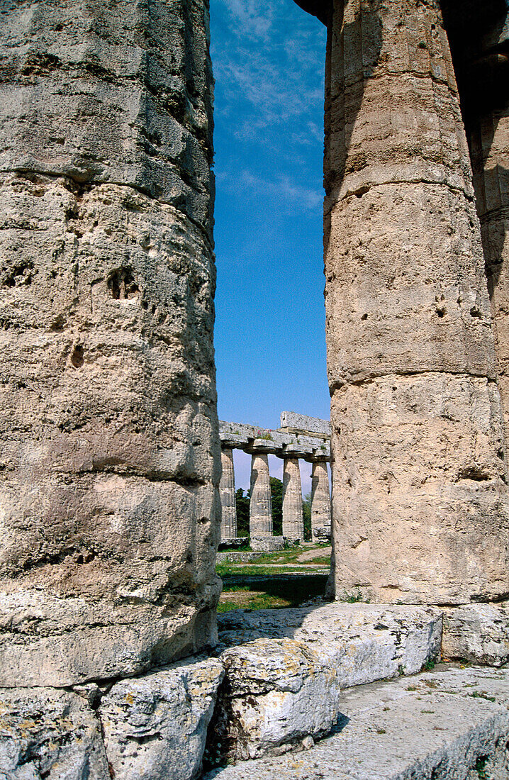 Column ruins. Paestum. Italy