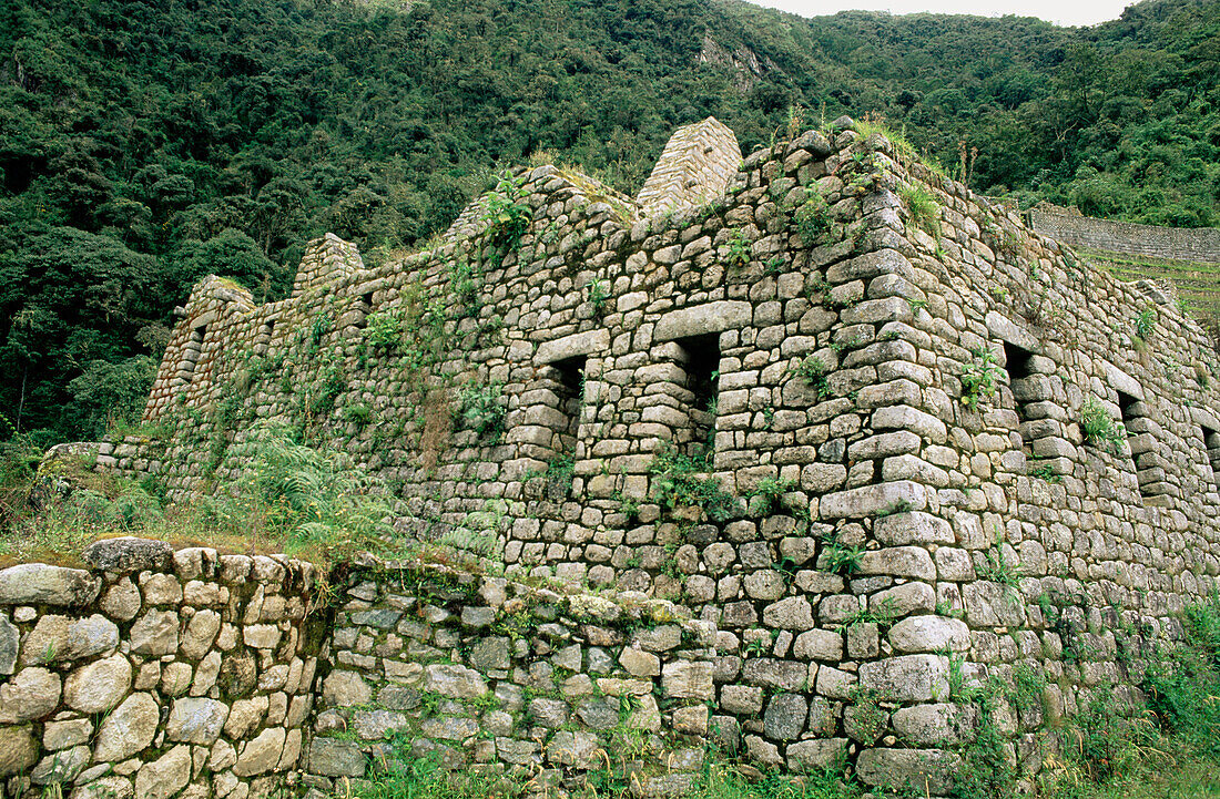 Ruins of Huinay Huayna, on the Inca trail. Peru