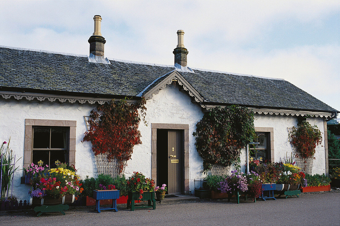 Cottage in the village of Luss. Highlands. Scotland