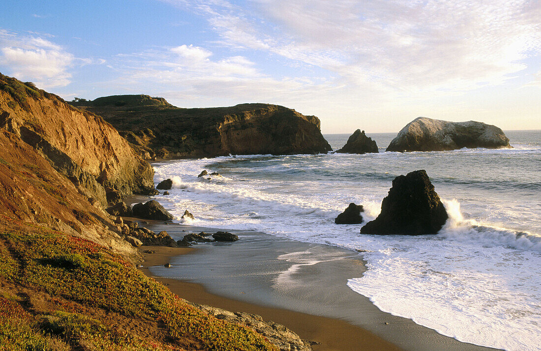 Bird rock. Rodeo Beach. Golden Gate National Recreation Area. Marin County. California. USA