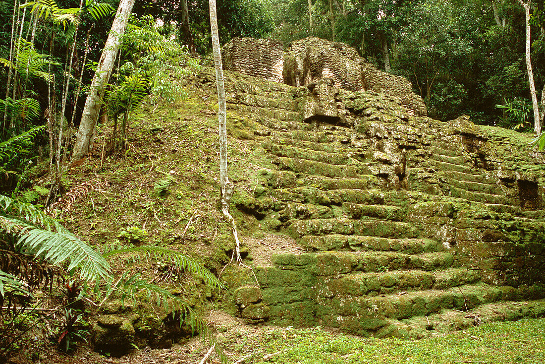 Temple partially covered in rainforest, Mayan ruins of Tikal. Peten region, Guatemala