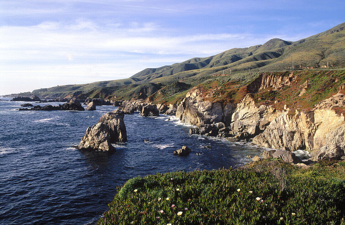 Rugged Shore. Garrapata State Park. Big Sur. California. USA.