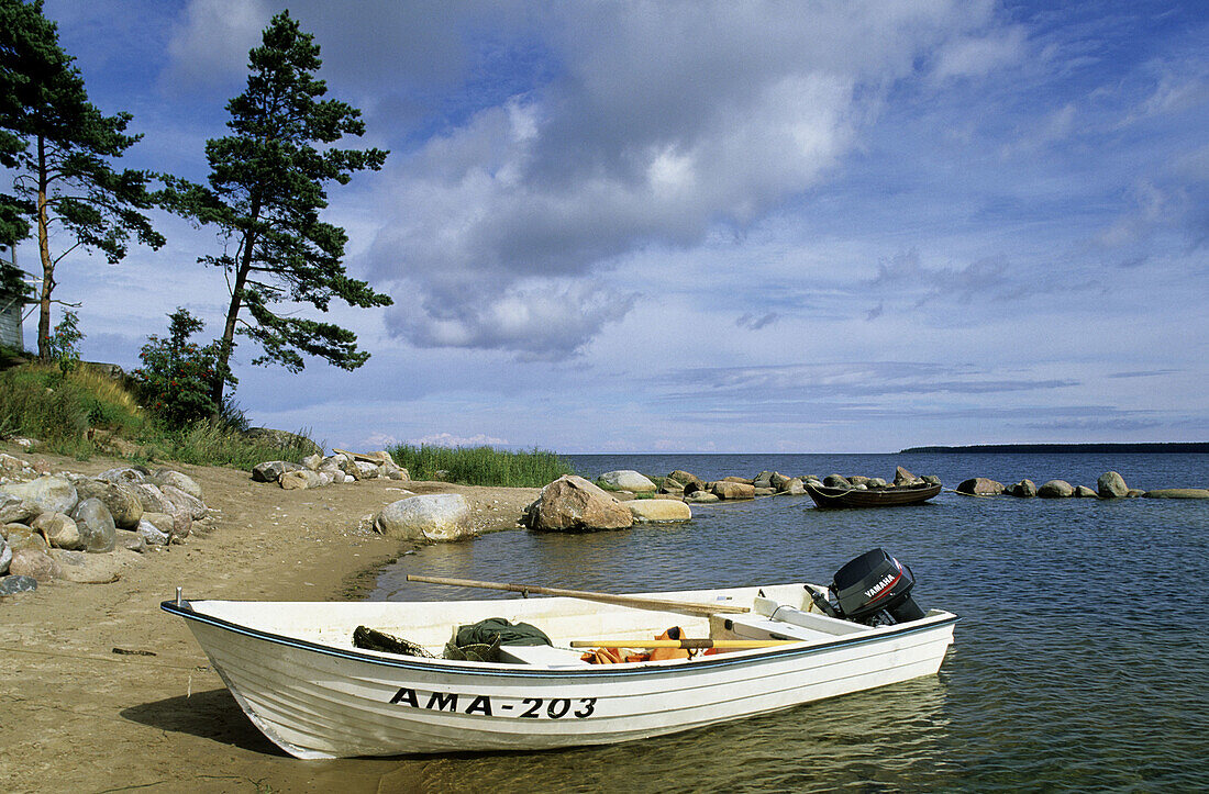 Käsmu. Gulf of Finland, Baltic coast. Lahemaa National Park. Estonia.