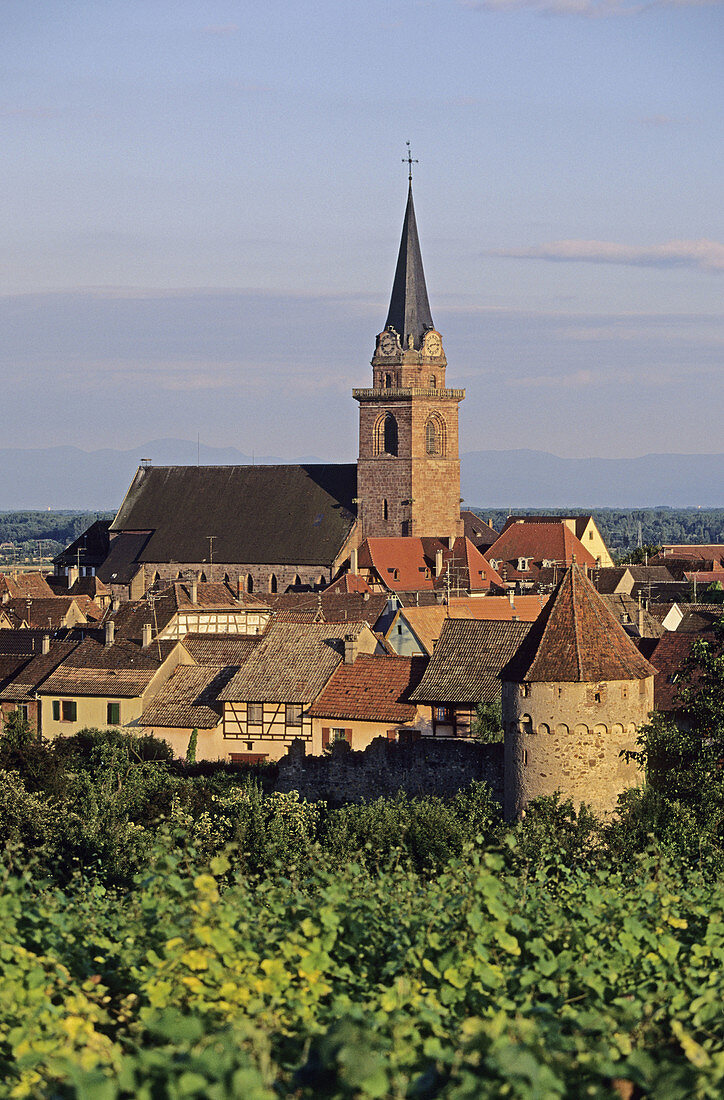 Fortified village. Bergheim. Haut Rhin. Alsace. France.
