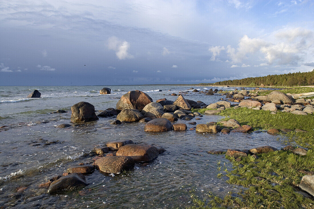 Stone beach on Baltic coast, Saaremaa island. Estonia