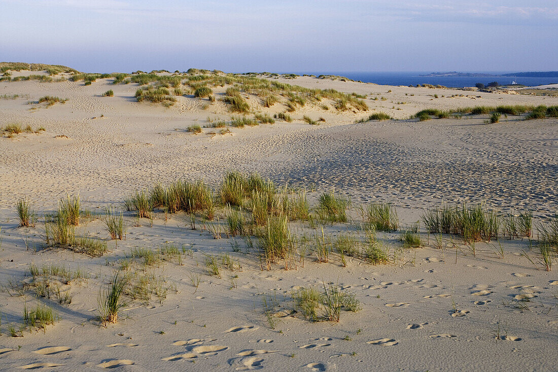 Parnidis dune, Curonian Spit. Lithuania