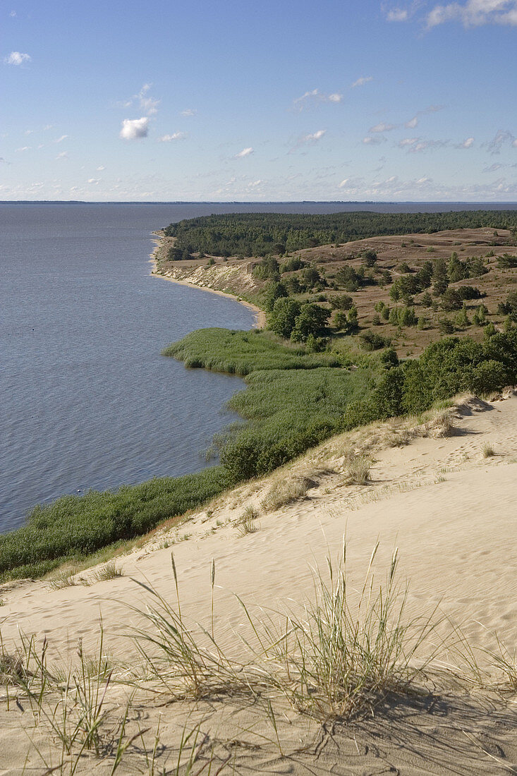 Vecekrugas dune (67,2 m.), Curonian Spit. Lithuania