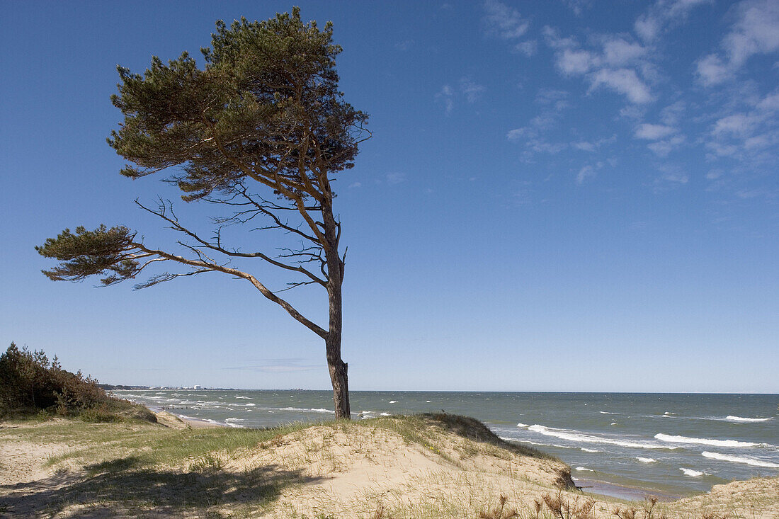 Baltic coast near Ventspils. Kurzeme, Latvia