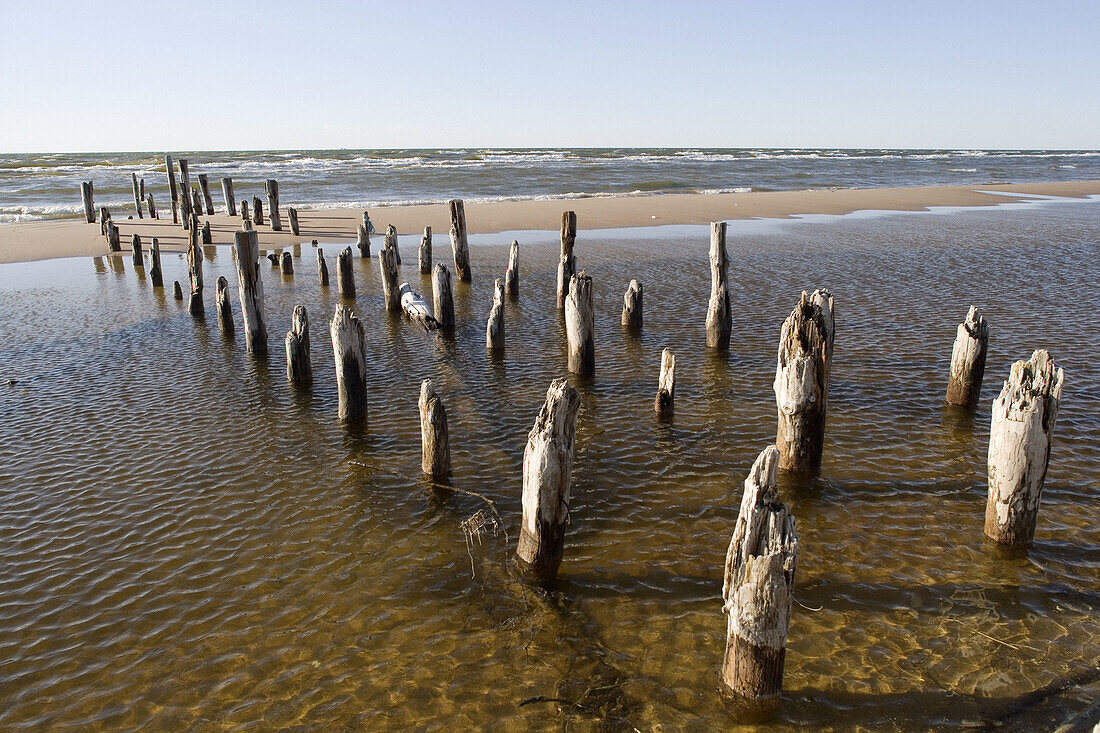 Baltic coast, Sikrags. Slitere National Park, Kurzeme region. Latvia
