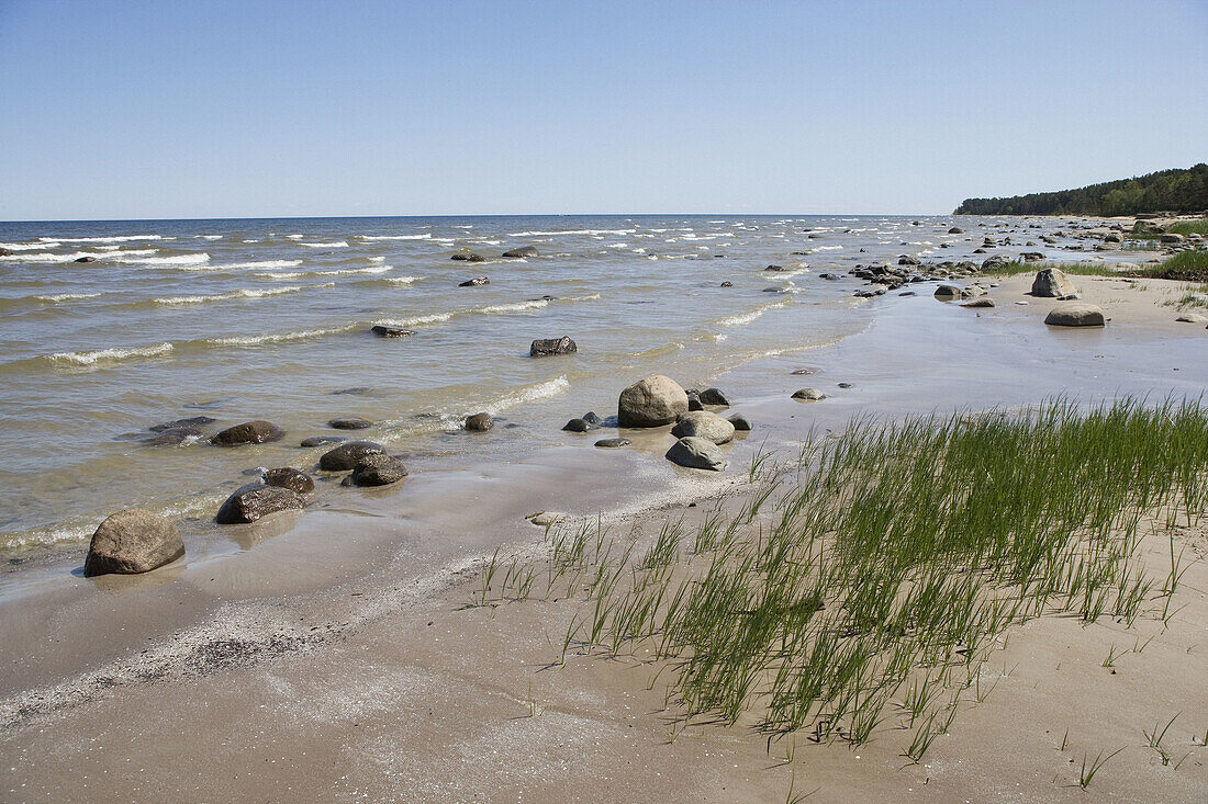 Baltic coast, Roja. Kurzeme region, Latvia