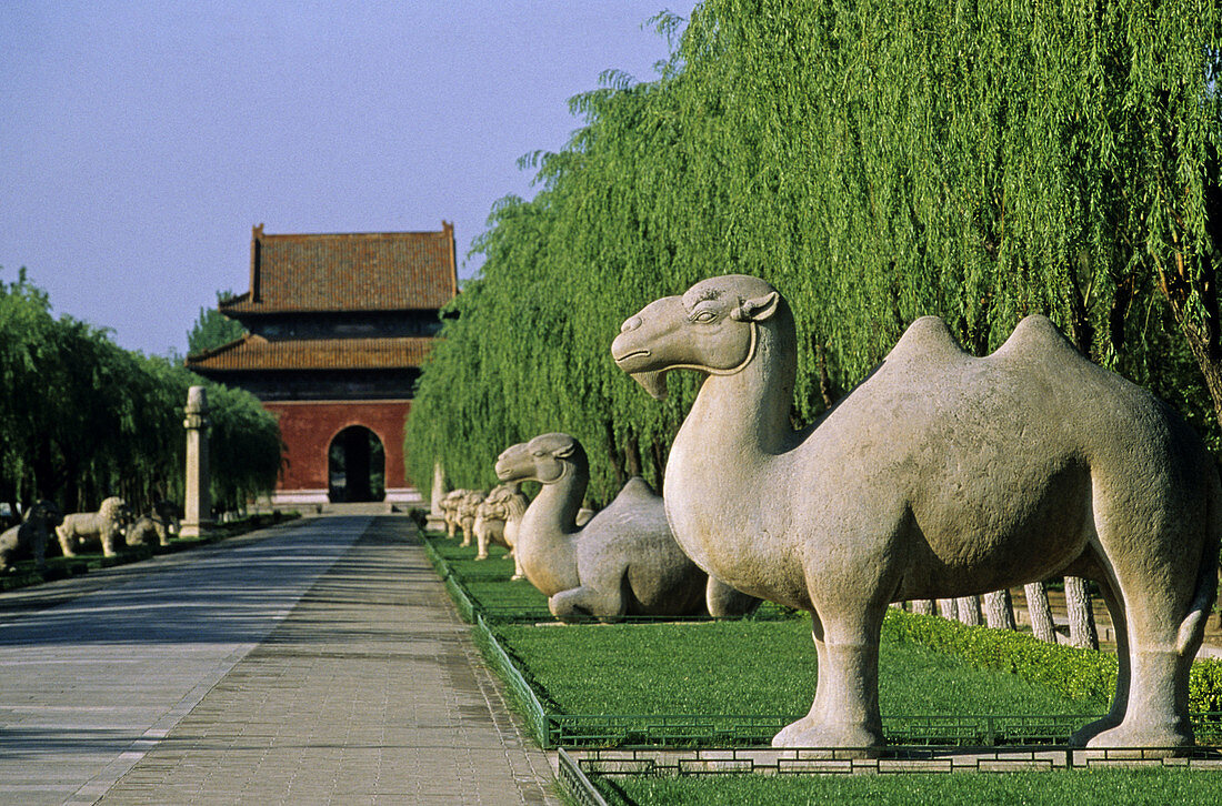 Avenue of the Animals. Ming tombs. Changling. China.