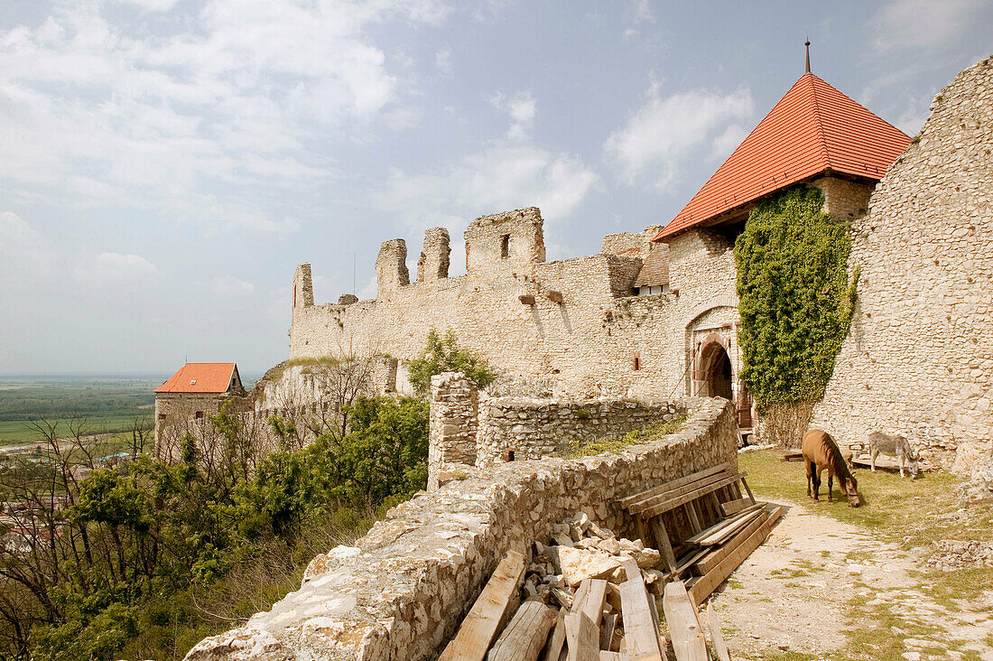 Sümeg Castle and Museum. Animals. Sümeg. Lake Balaton Region. Hungary.
