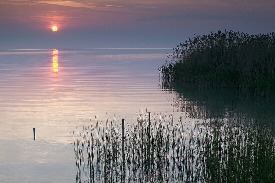 Lake Balaton at Sunrise. Largest Freshwater Lake in Mainland Europe. Tihany. Lake Balaton Region. Hungary. 2004.