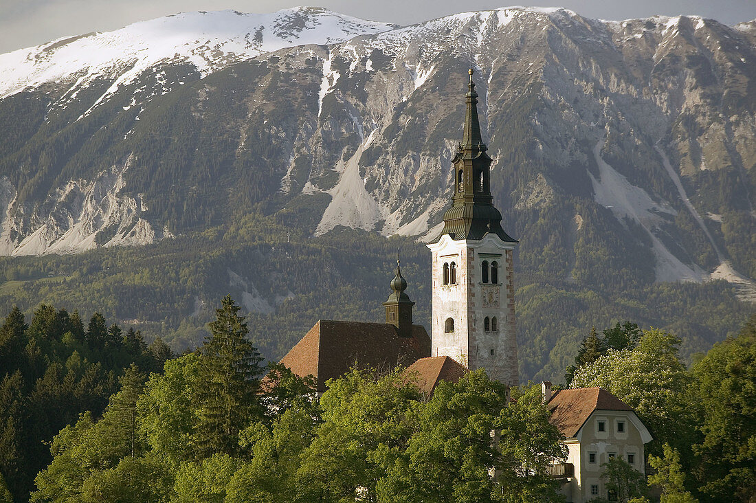 Lake Bled Island Church. Bled. Gorenjska. Slovenia.