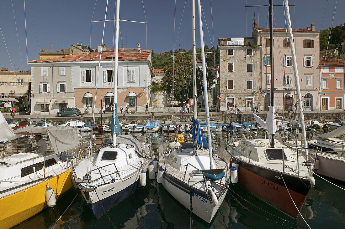 Piran Harbor. Marina. Piran. Primorska. Slovenia.