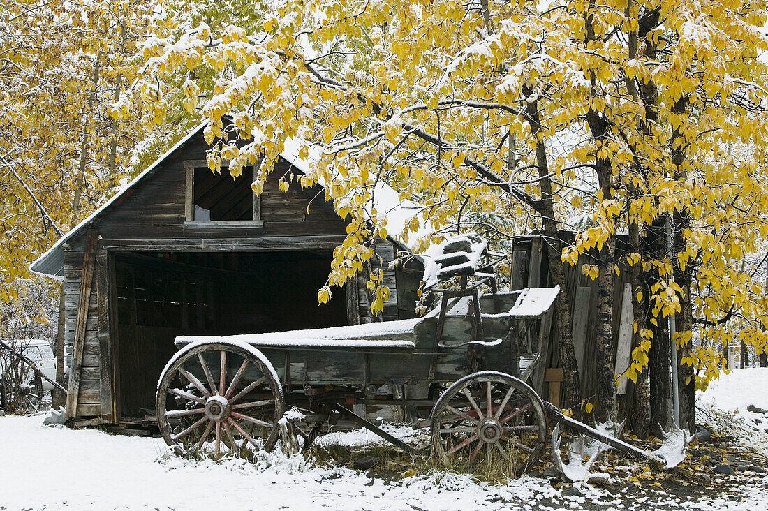 Old Wagon in snow. Winter. McCarthy. Interior. Alaska. USA.