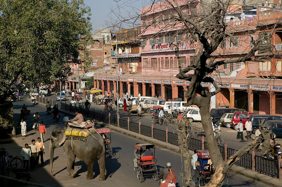 Elephant Taxi . Chandpol Bazaar. Old Jaipur. Jaipur. Rajasthan. India.