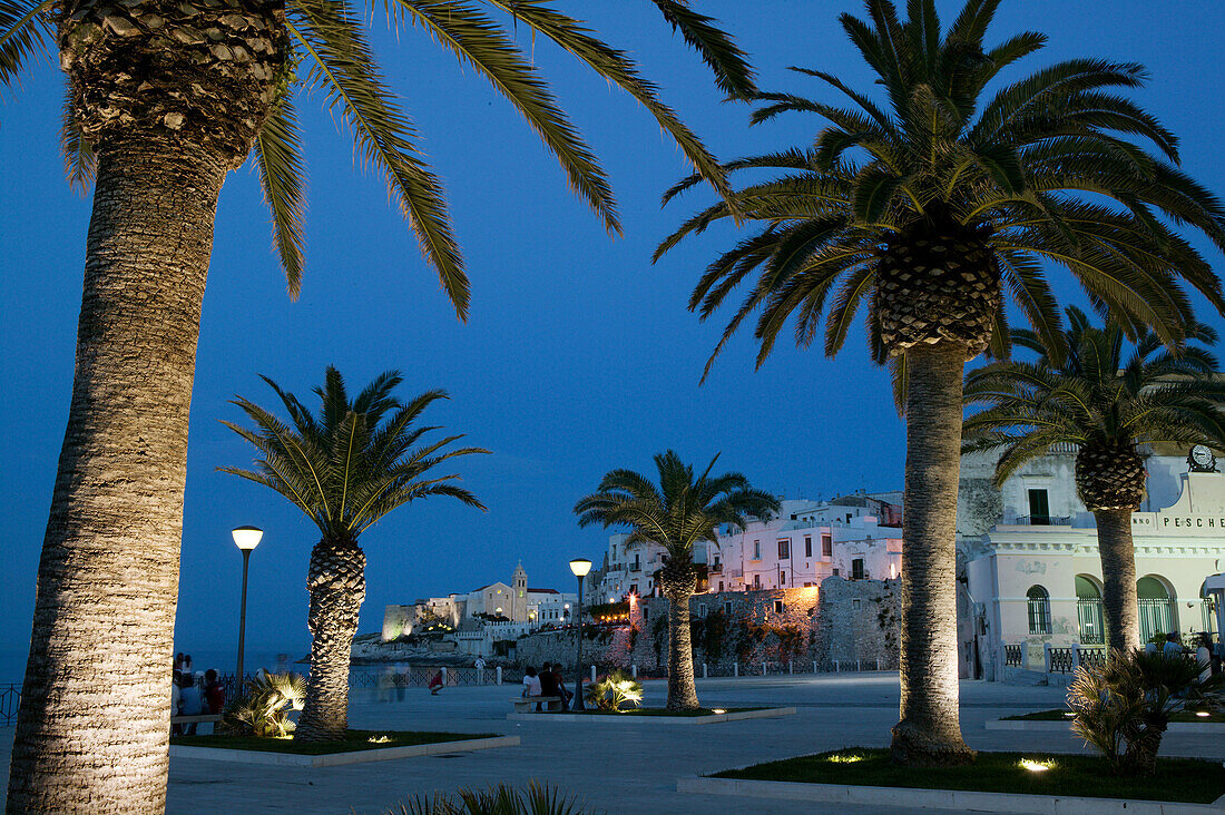 Town View from Piazza Kennedy Park in the evening, Vieste. Promontorio del Gargano, Puglia, Italy